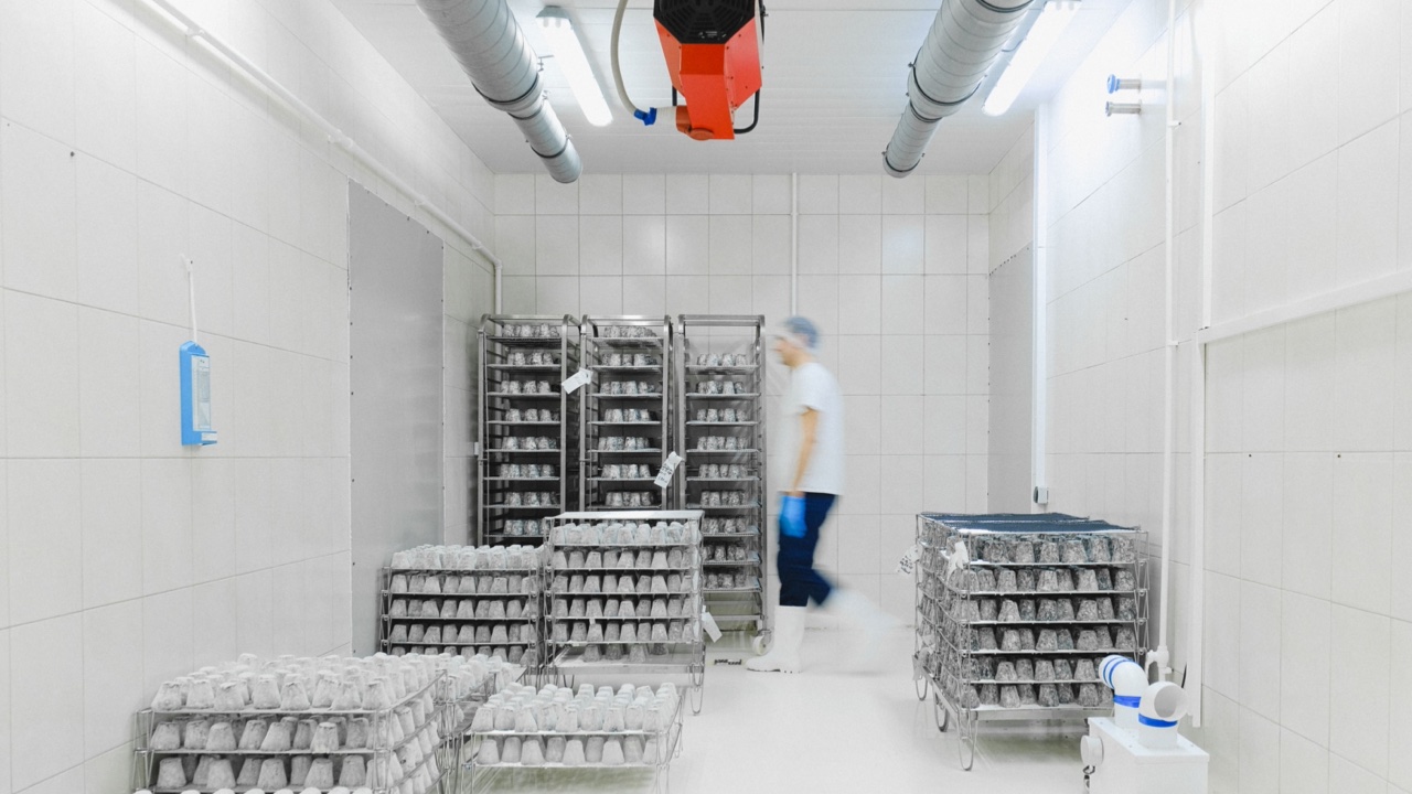 Glutathione Powder Storage and Transport: Why This Ingredient Causes More Problems Than Most